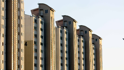 多彩保護(hù)膠在多彩涂料中的反應(yīng)原理